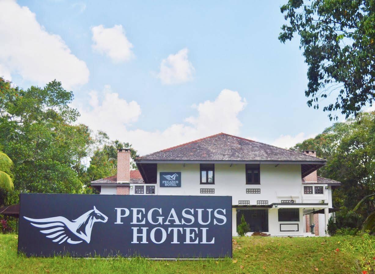 Oyo 104 Pegasus Hotel Singapore Esterno foto